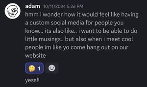 A response from Adam: 'hmm i wonder how it would feel like having a custom social media for people you know... its also like.. i want to be able to do little musings.. but also when i meet cool people im like yo come hang out on our website'